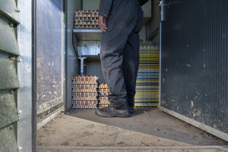 How to Choose a Commercial Refrigeration Contractor in Visalia